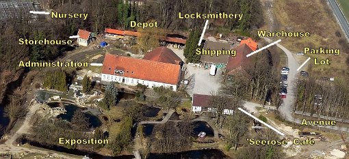 The Estate